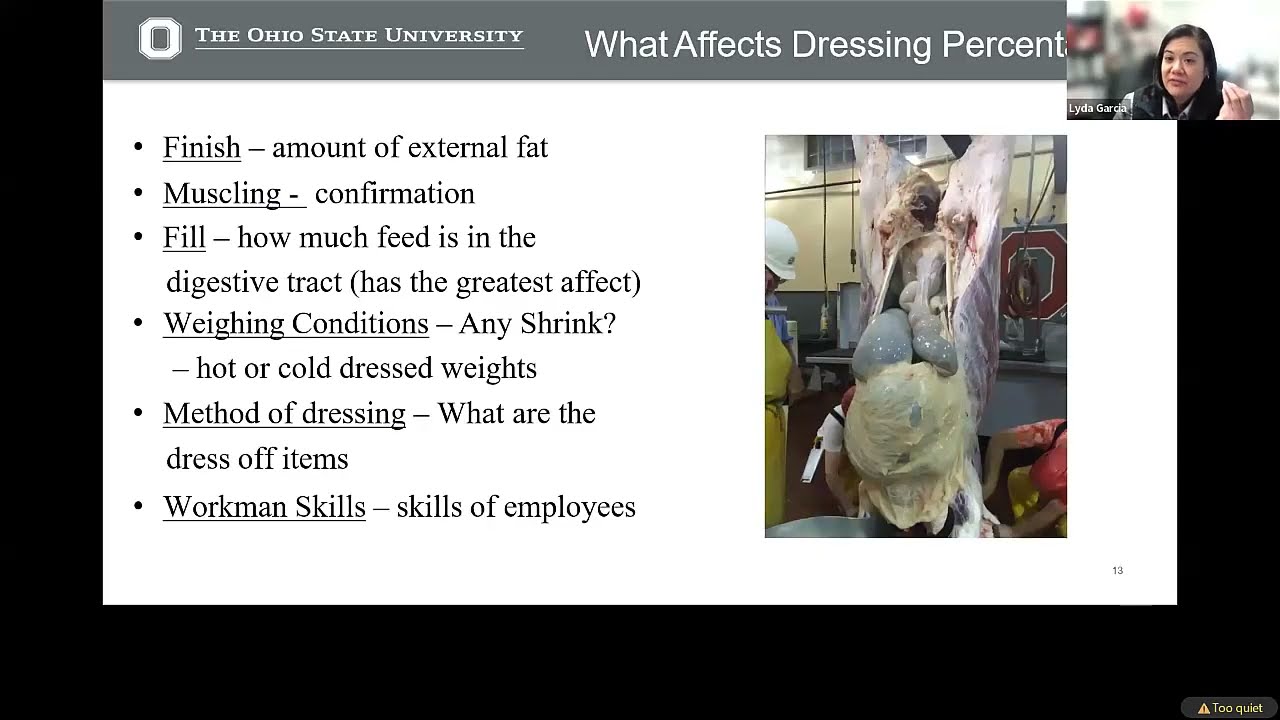 Ohio Beef School 2024 Session 3: Carcass Yield and Adding Value