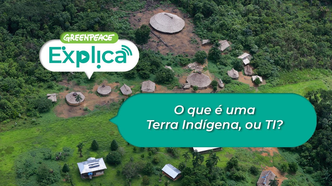 O que &eacute; uma Terra Ind&iacute;gena, ou TI? - Greenpeace Explica