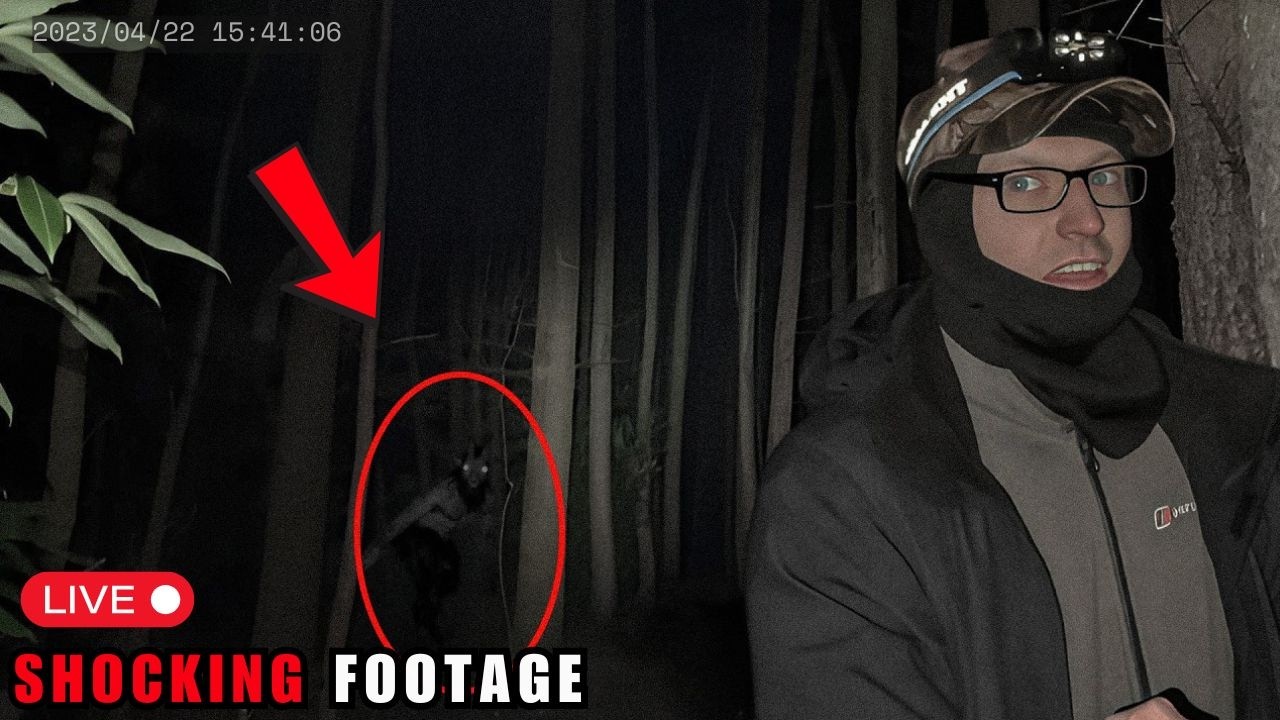 3 Hours of Most DISTURBING Camping Encounters Caught on Camera