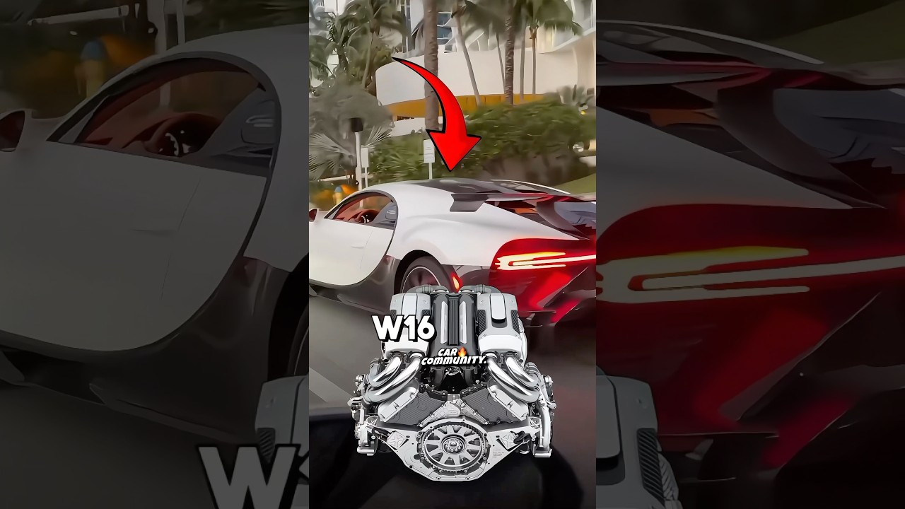W16TTTT VS V8TT 💀 