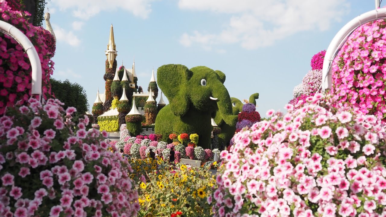 Дубай, сад цветов Miracle Garden (Сад Чудес)