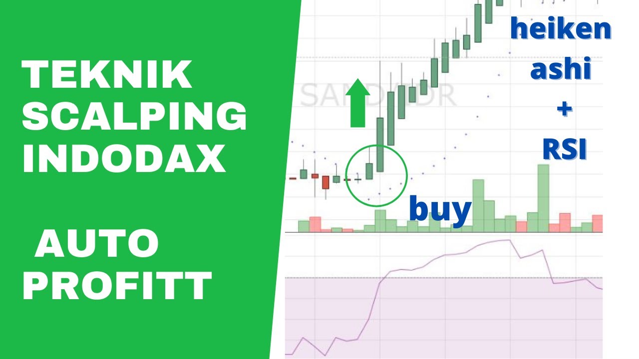 TEKNIK SCALPING INDODAX MODAL 200 RIBU AUTO PROFIT