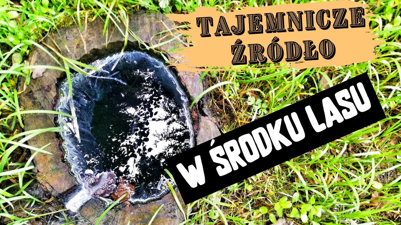 Źródło Danuta w Łapszach Wyżnych