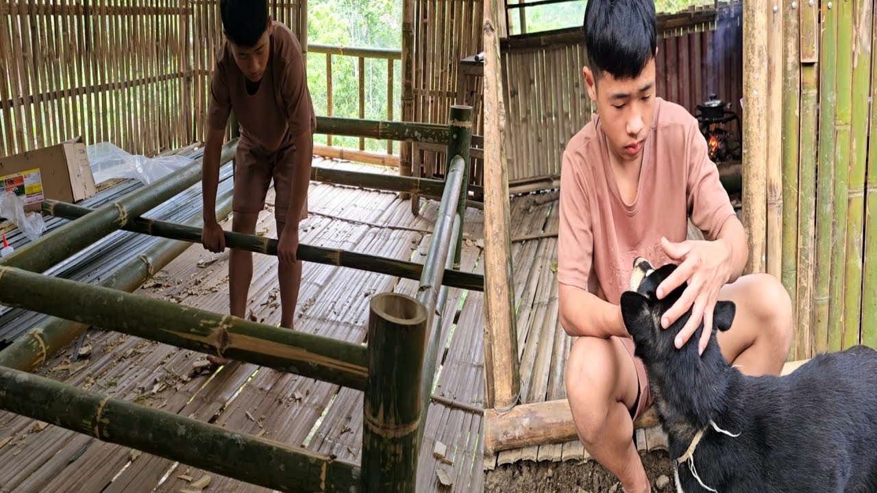 Совершенно неожиданно Лу возвращается, и это приводит к трогательной и неожиданной встрече.