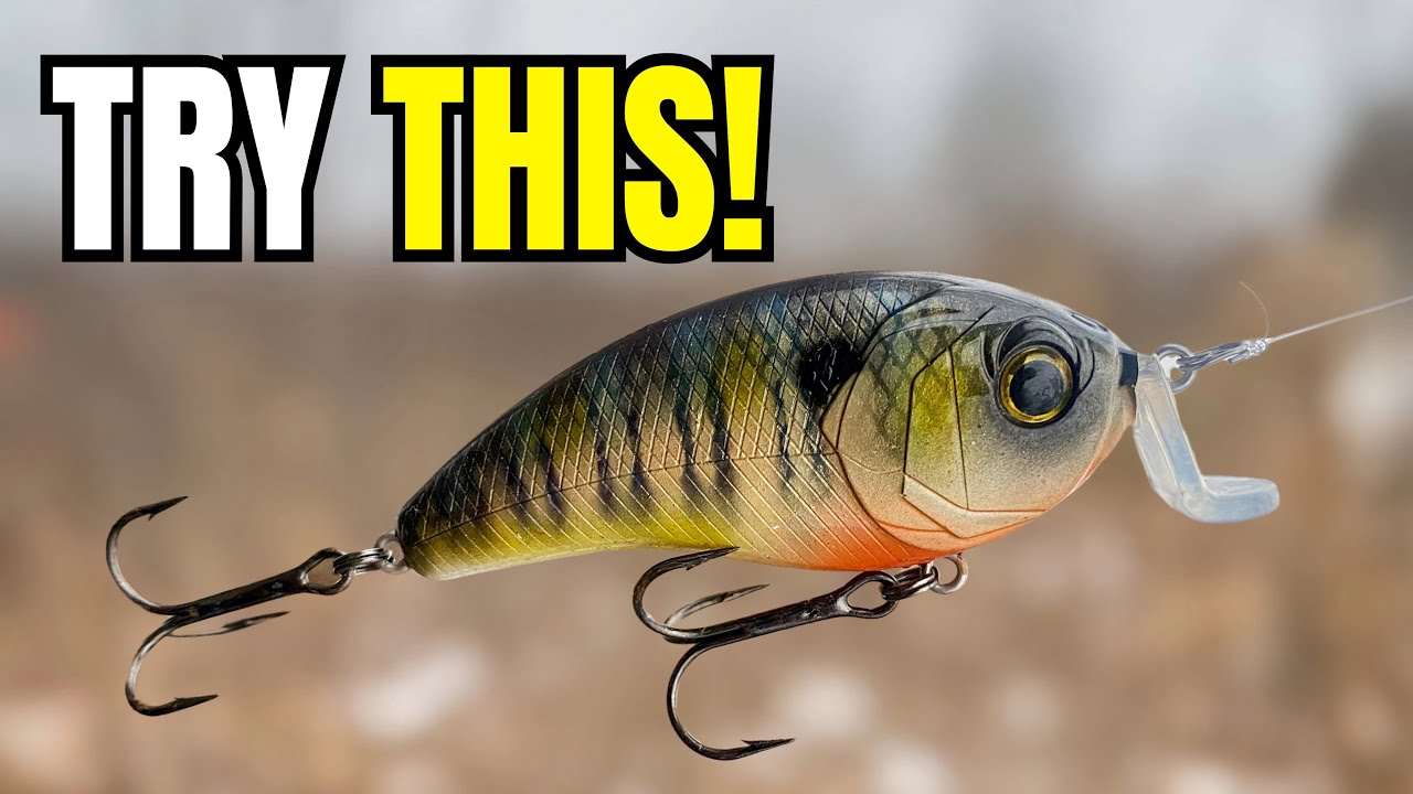 BEST Spring Crankbait MOST Anglers Have NEVER Fished (Hybrid Hunter & Swank)