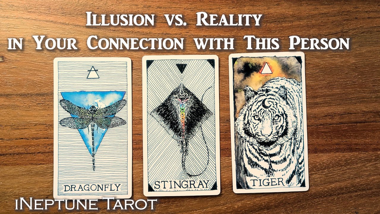 ILLUSION VS. REALITY IN YOUR CONNECTION 🔮✨ | Timeless Pick a Card 🔮🃏 Tarot Reading
