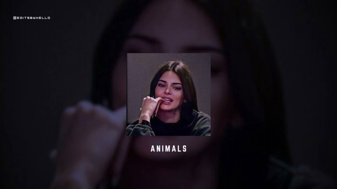 Maroon 5 - Animals {Slowed + Reverb}