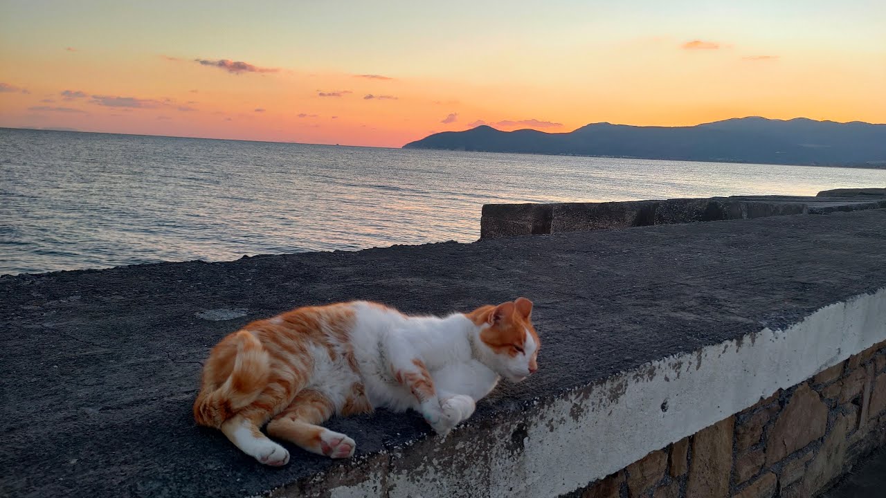 Live Σάμος - Ωραία χρώματα - Greece Samos Nice colors