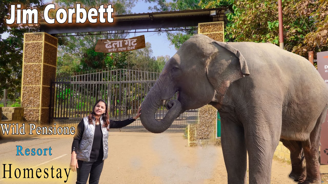 Resort ka Feel Homestay Main - Wild Pensione Resort- A Homestay in Jim Corbett Dhela - Wildlife