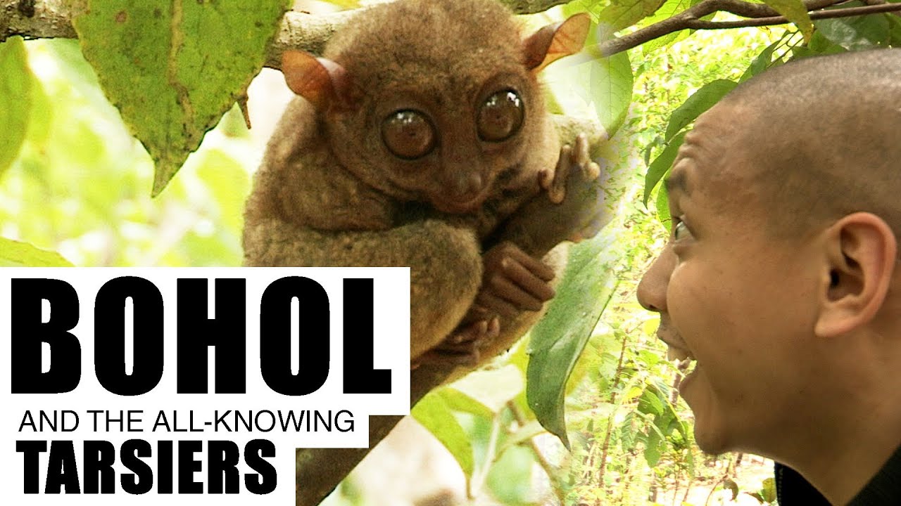 Mikey Bustos & Frank McCormick BOHOL, Philippines (Ep. 1)