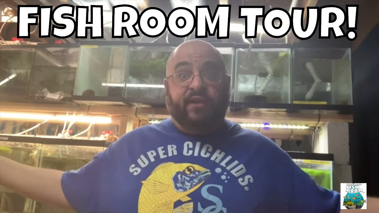 Michael's Fish Room Tour!