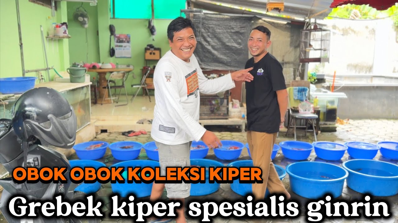 Obok obok koleksi kiper spesialis ginrin‼️Ginanjar Koi farm‼️buruan bos bosku Koi kualitas 