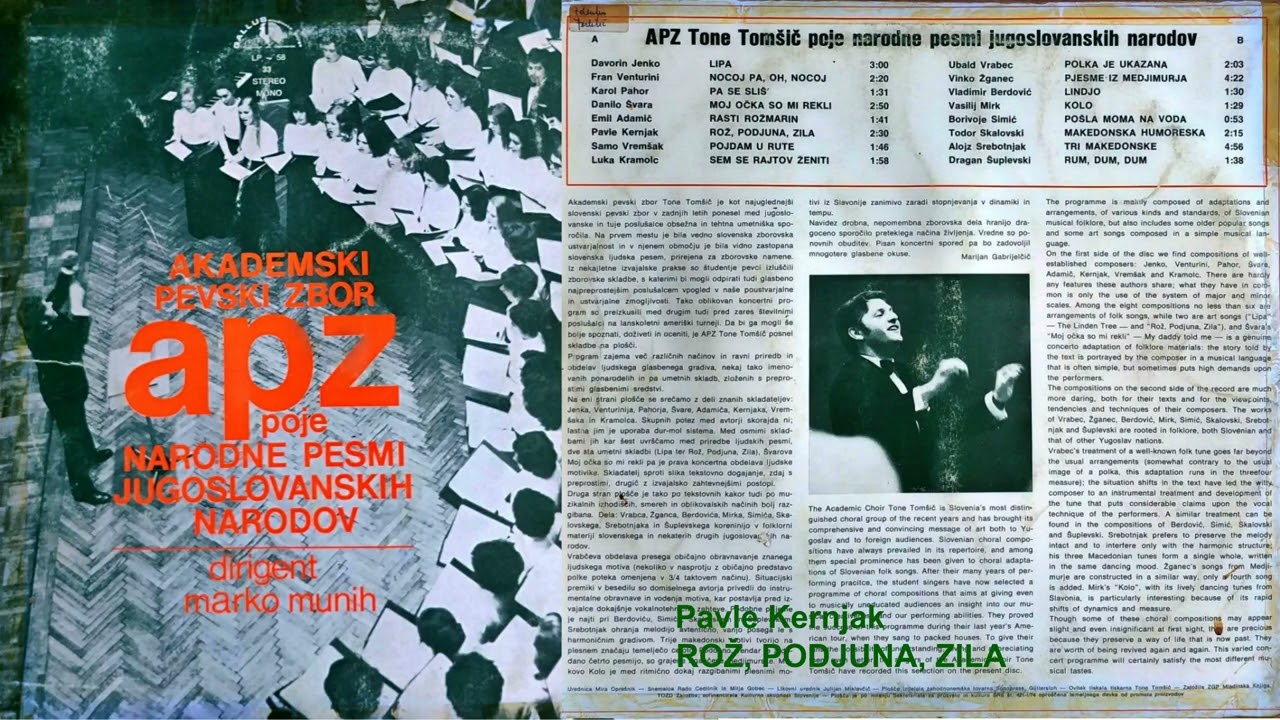 APZ  Tone Tomšič Rož, Podjuna, Zila