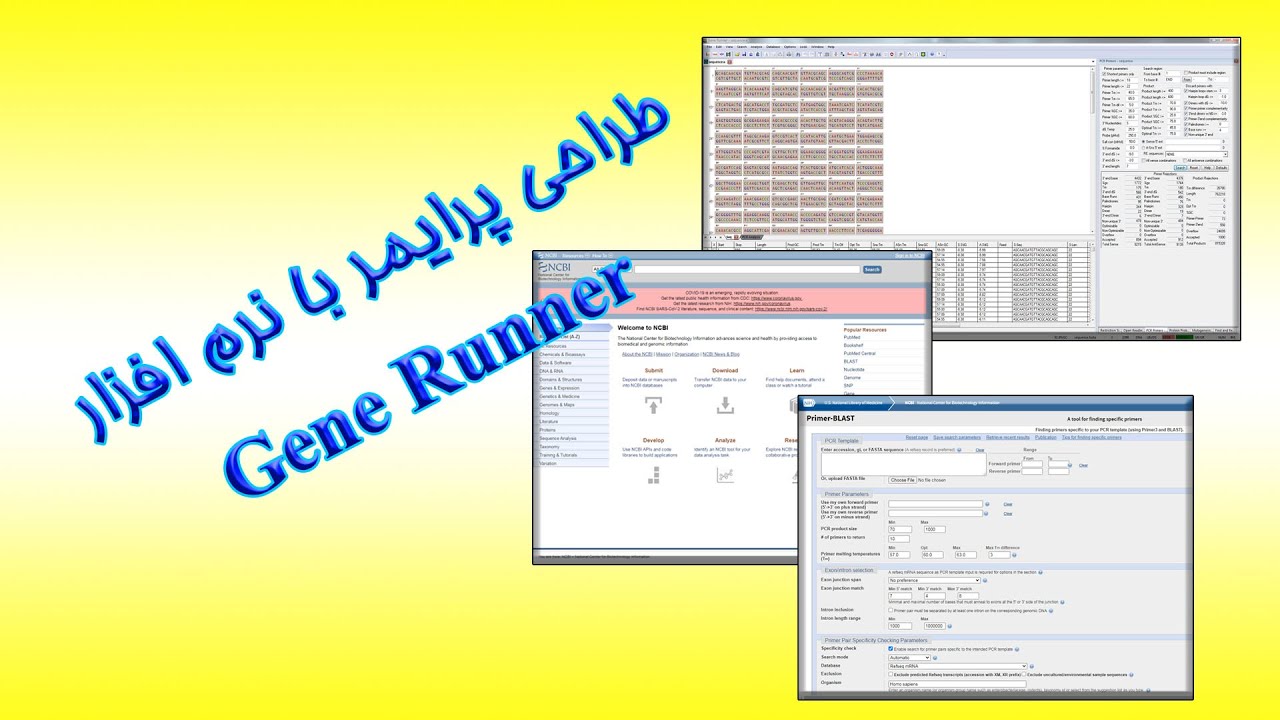 طراحی پرایمر با نرم افزار Gene Runner