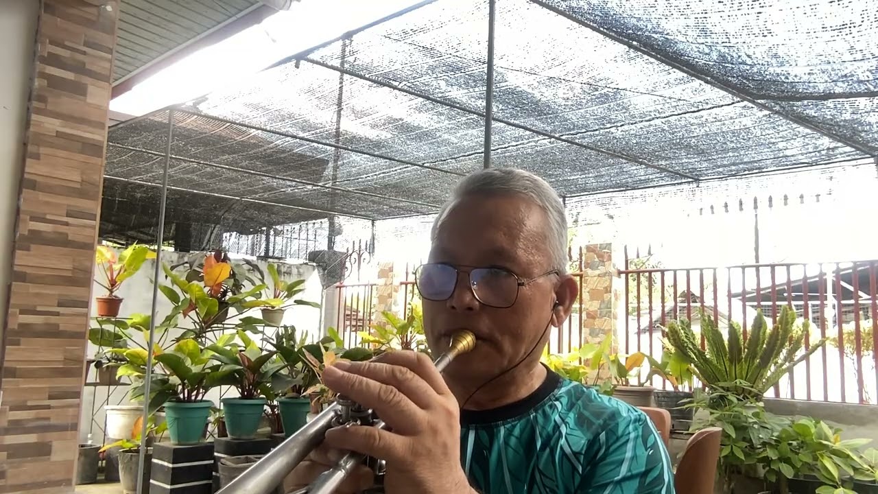 YOU ARE THE SUNSHINE OF MY LIFE - Stevie Wonder  (Trumpet) cover