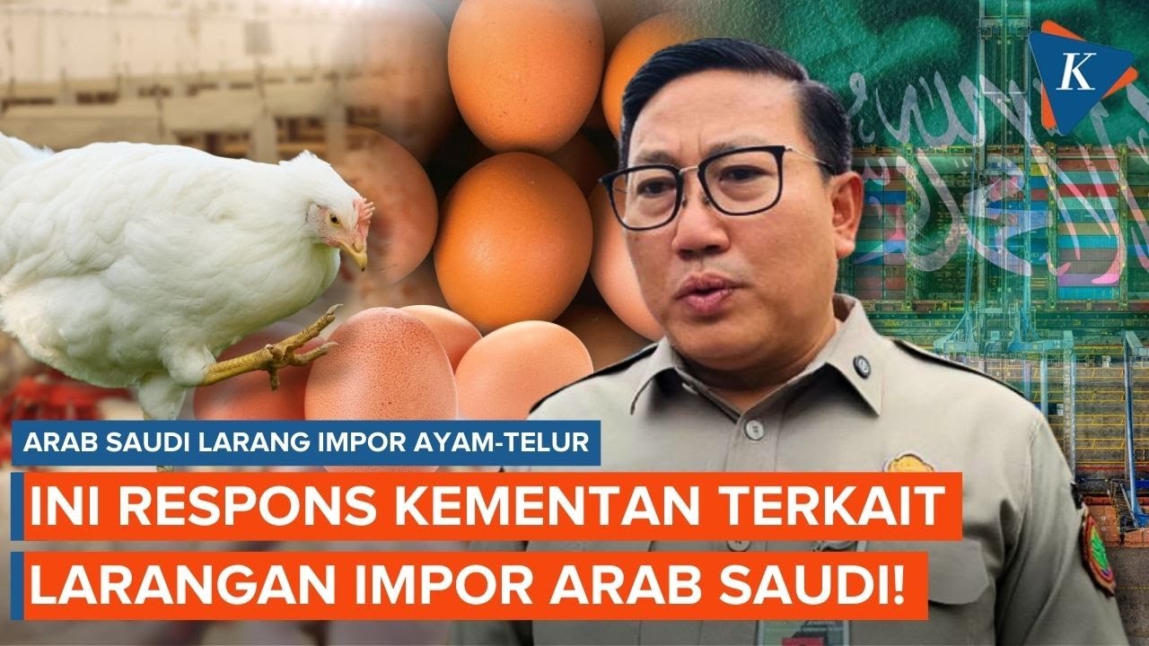 Arab Saudi Larang Impor Ayam dan Telur dari Indonesia, Ini Kata Kementan!