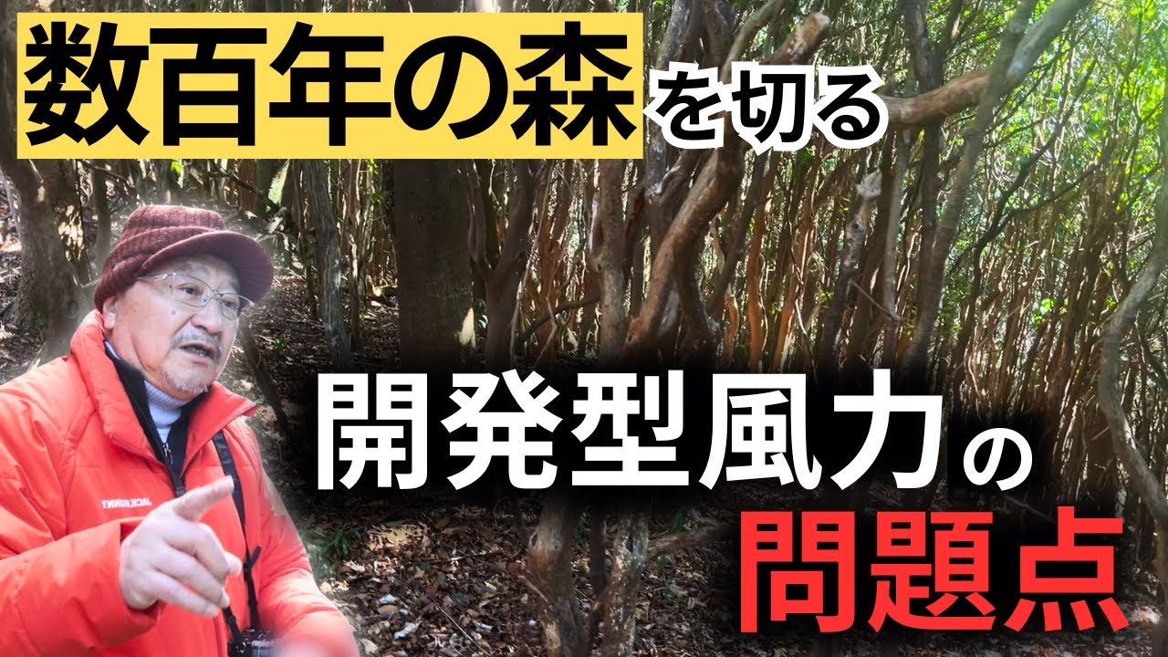 防災の専門家が現地解説｜高知県国見山・開発型風力と土砂災害リスクの考え方