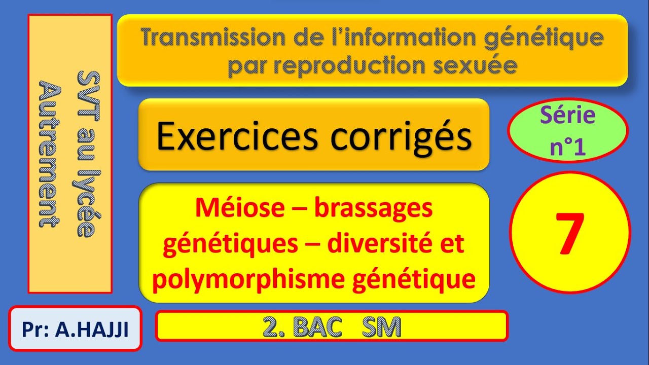 Exercices QCM corrigés sur la méiose, brassages génétiques et polymorphisme génétique