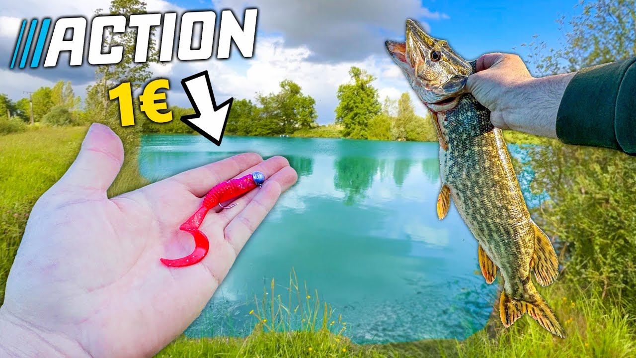 I'm testing a &euro;1 lure from Action! (Predator opening)