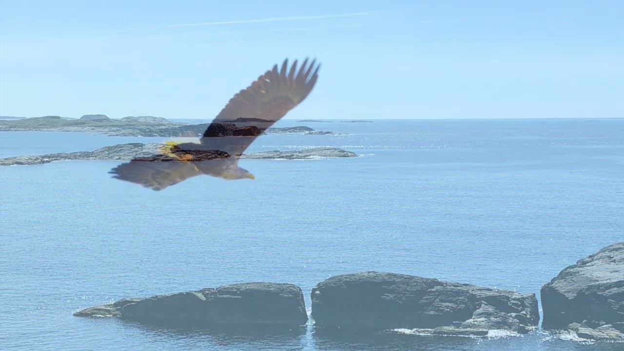 Under den lysande himmelens auge