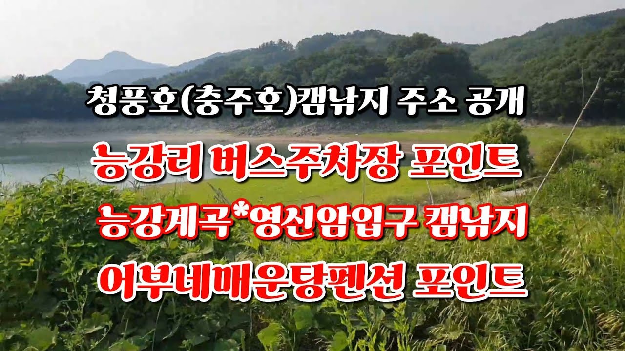 [청풍호(충주호)캠낚지 주소 공개]능강계곡*영신암입구*도화리어부네매운탕포인트 #충주호 #청풍호 #캠핑낚시 #제천여행