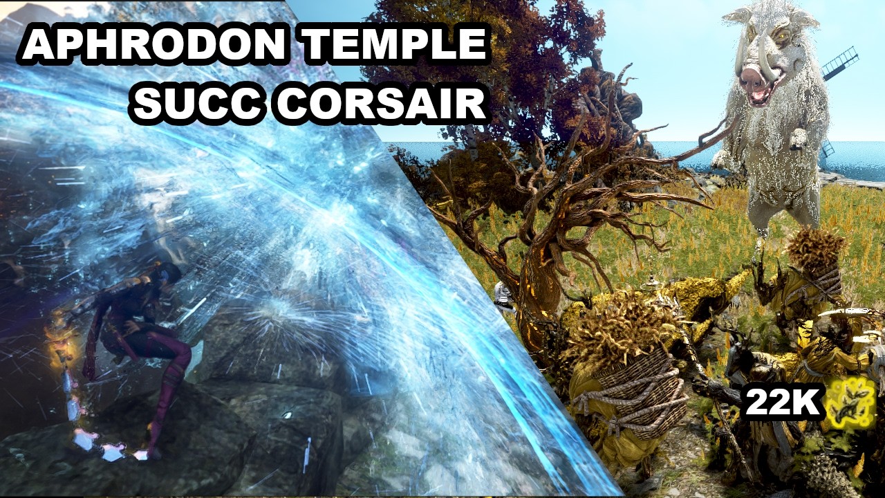 BDO ~ Succ Corsair ~ Aphrodon Temple ~ 22k ( Yellow ls + agris)