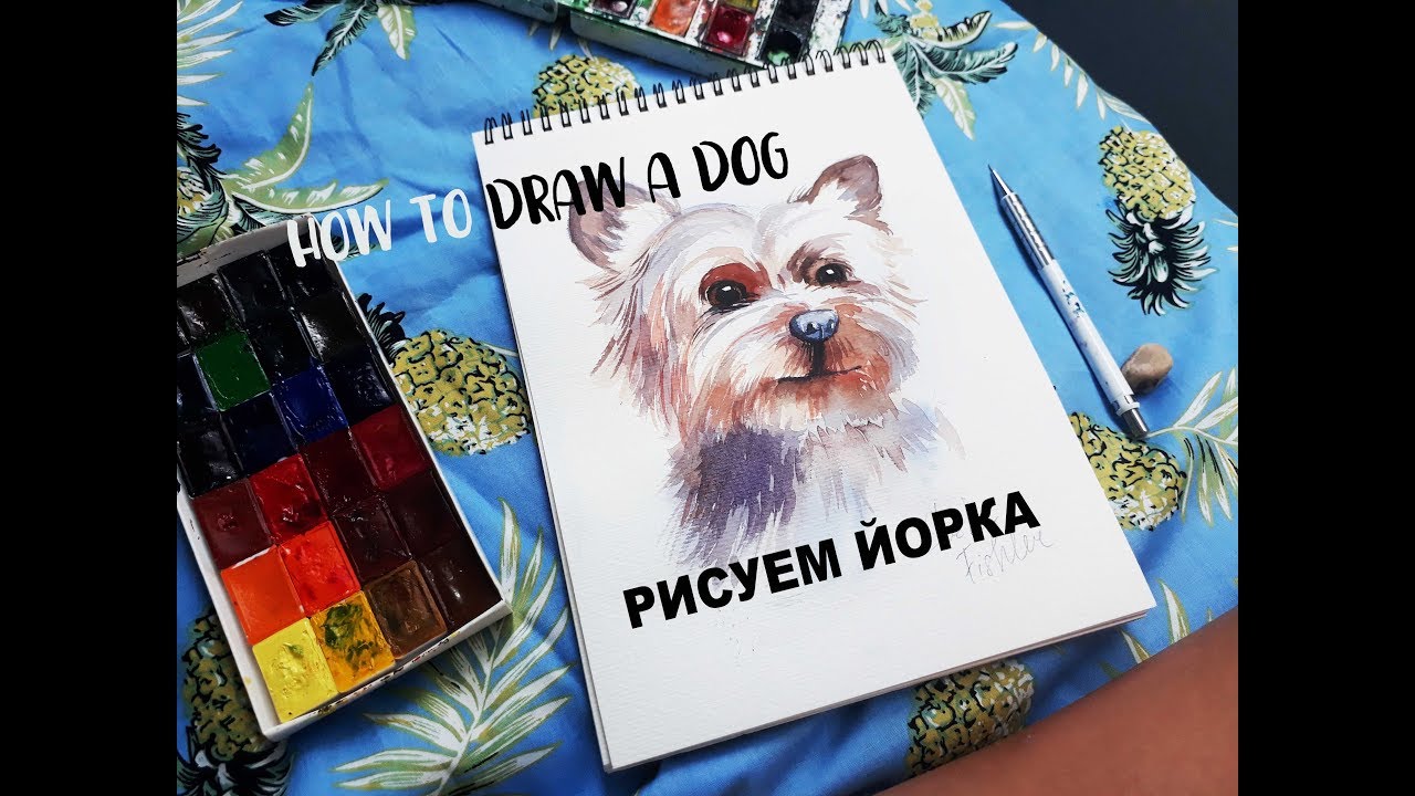 РИСУЕМ ЙОРКА ЗА 30 МИНУТ! DOG DRAWING