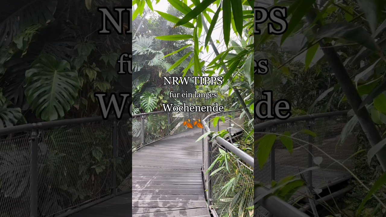 #dateideen #ausflug #wochenendtipps #nrw #grugapark #k&ouml;ln #br&uuml;hl #maastricht #idstein #cologne