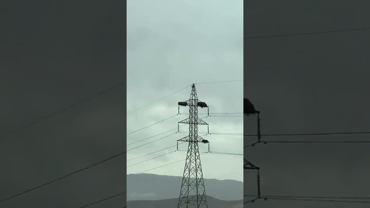 لە سۆرانی خۆشەویستەوە بەرەو هیران لەگەڵ مۆسیقای تایبەتەکانی ( راشد الماجد ، کاظم الساهر )