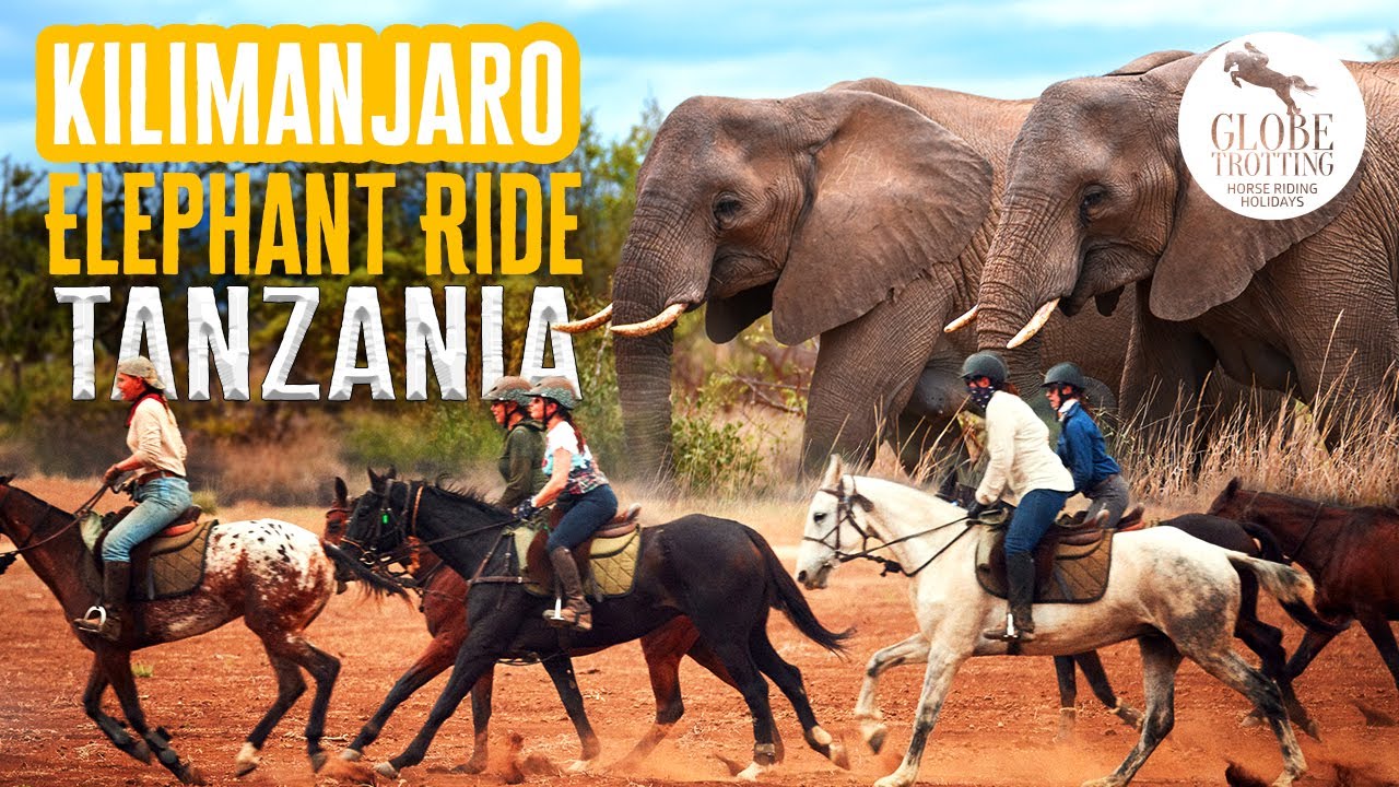 Horse Riding Safari, Tanzania - Part 3 of our 'Out of Africa' Series - Client Perspective