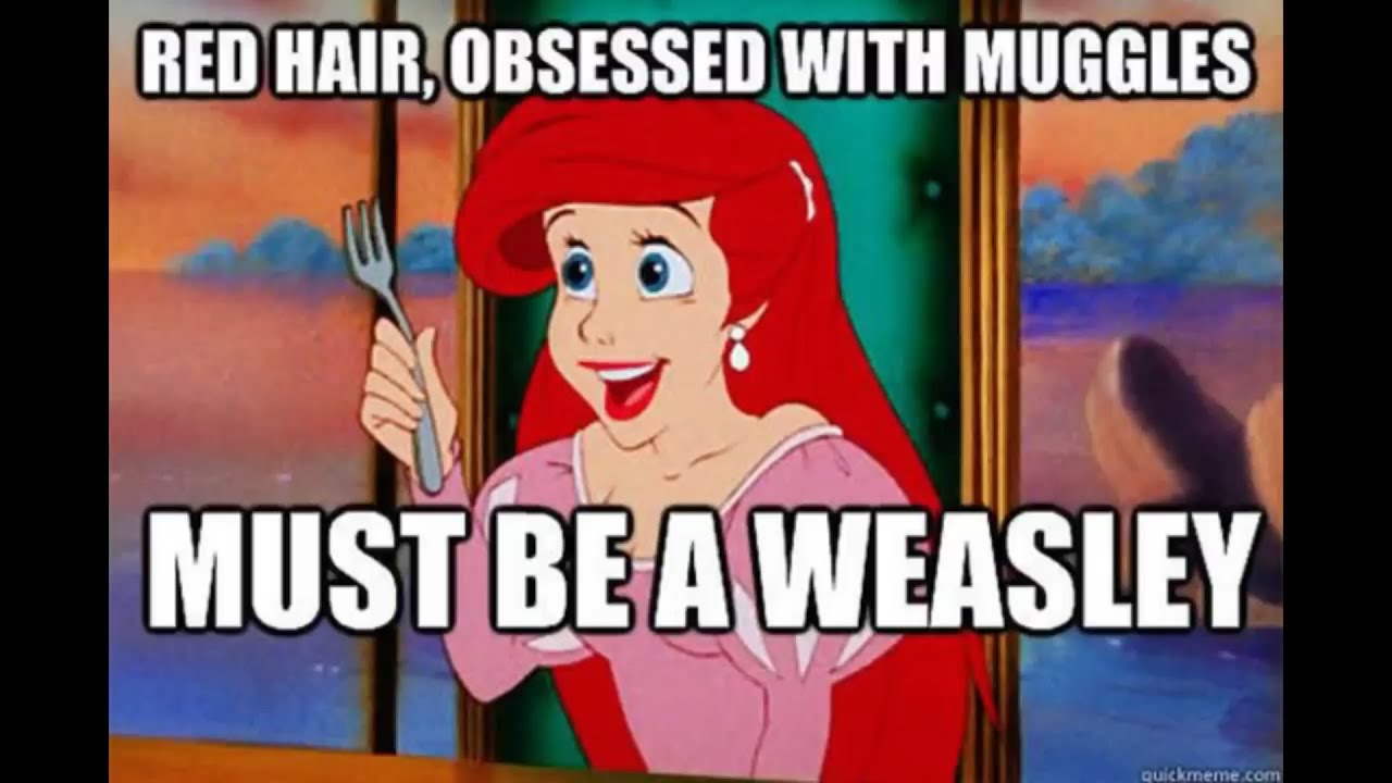 Harry Potter memes only fans understand! | Part 10