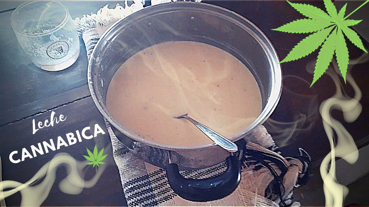 Haciendo leche de marihuana | Leche Cannabica