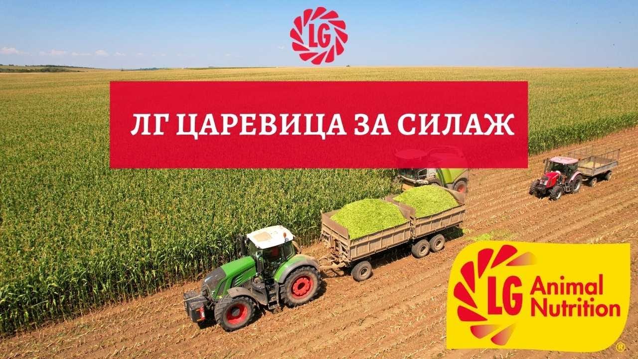 LG ЦАРЕВИЦА ЗА СИЛАЖ LGAN | с. Царевец 2022