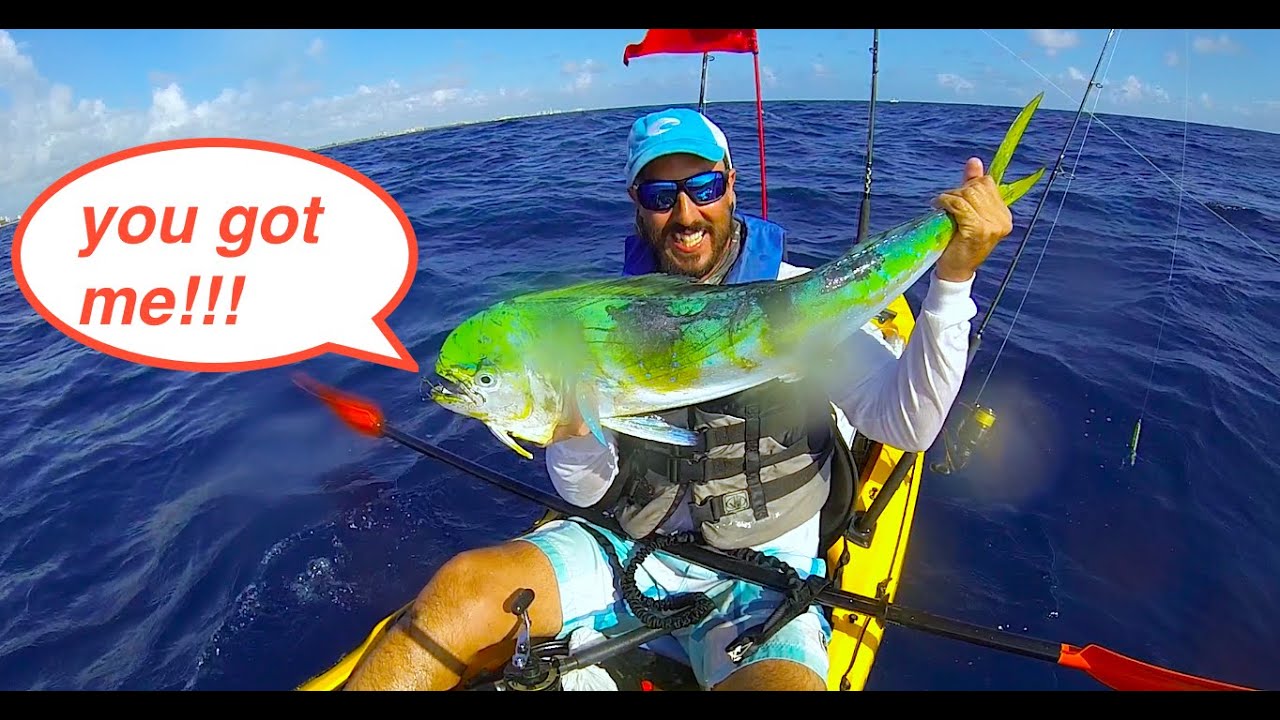 Kayak Fishing Zone , First Mahi- Mahi  of 2015