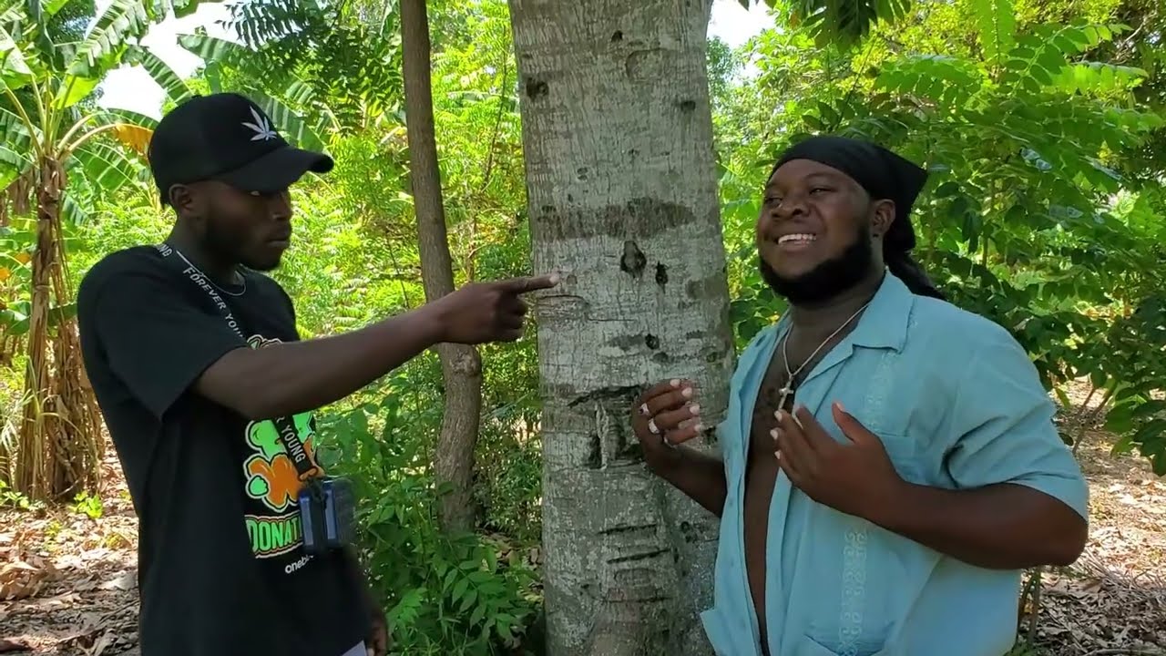 BRIKÈ KAP FÈ JALOU POU PITIT  LI 🥹