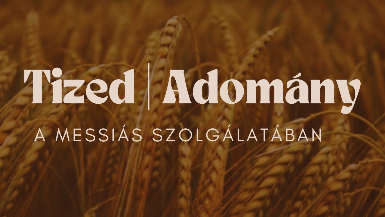 Tized | Adom&aacute;ny &Oacute;- &eacute;s &Uacute;jsz&ouml;vets&eacute;g t&uuml;kr&eacute;ben