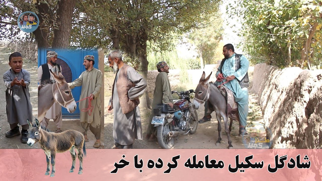 نمایش، شادگل سکیل به خری سودا کرد