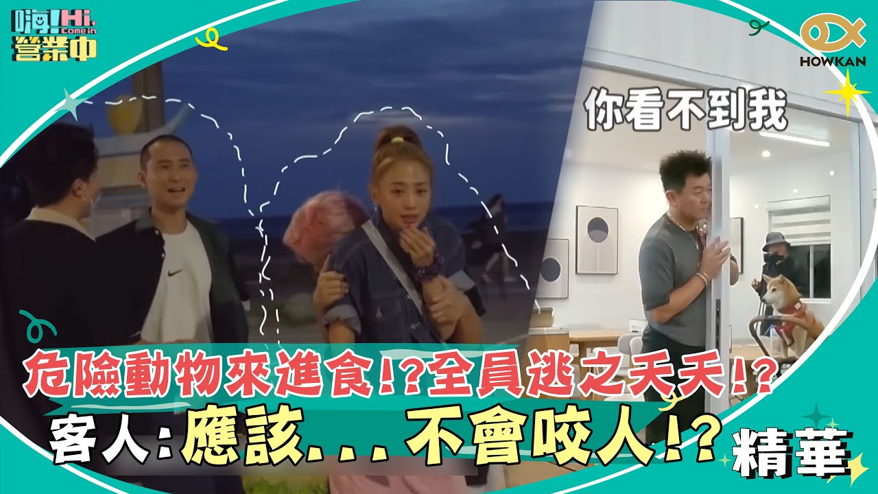 危險動物來進食！？全員逃之夭夭！？客人：應該   不會咬人！？｜嗨！營業中第一季精彩回顧