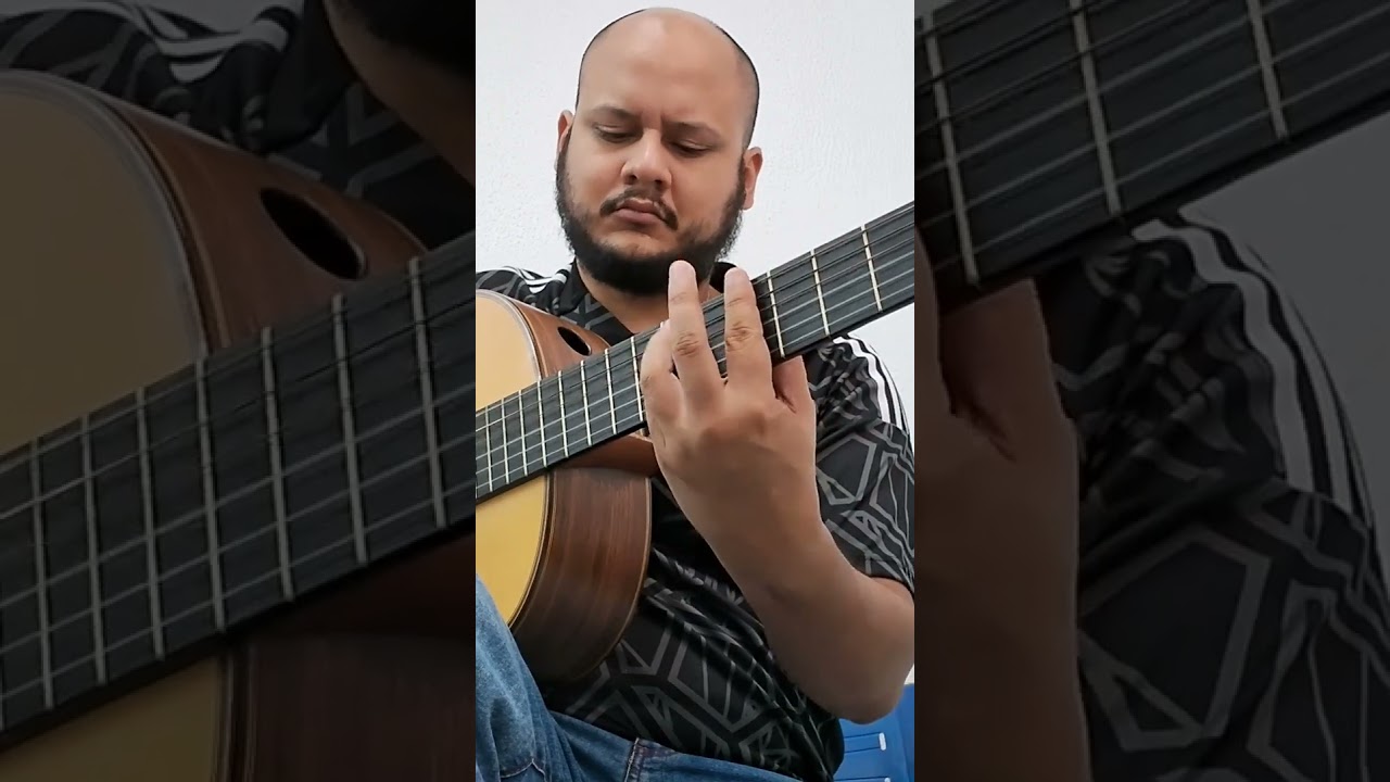 #violaoflamenco #guitarraflamenca #guitar #viol&atilde;obrasileiro