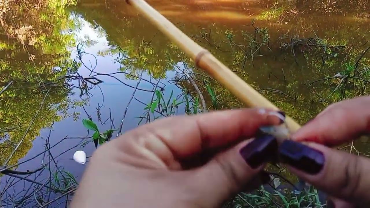 Cola em min q e sucesso só brutos🎣Deus seja louvado para todo sempre