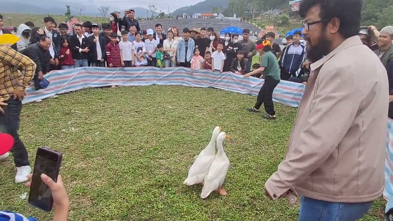 Bịt mắt bắt vịt