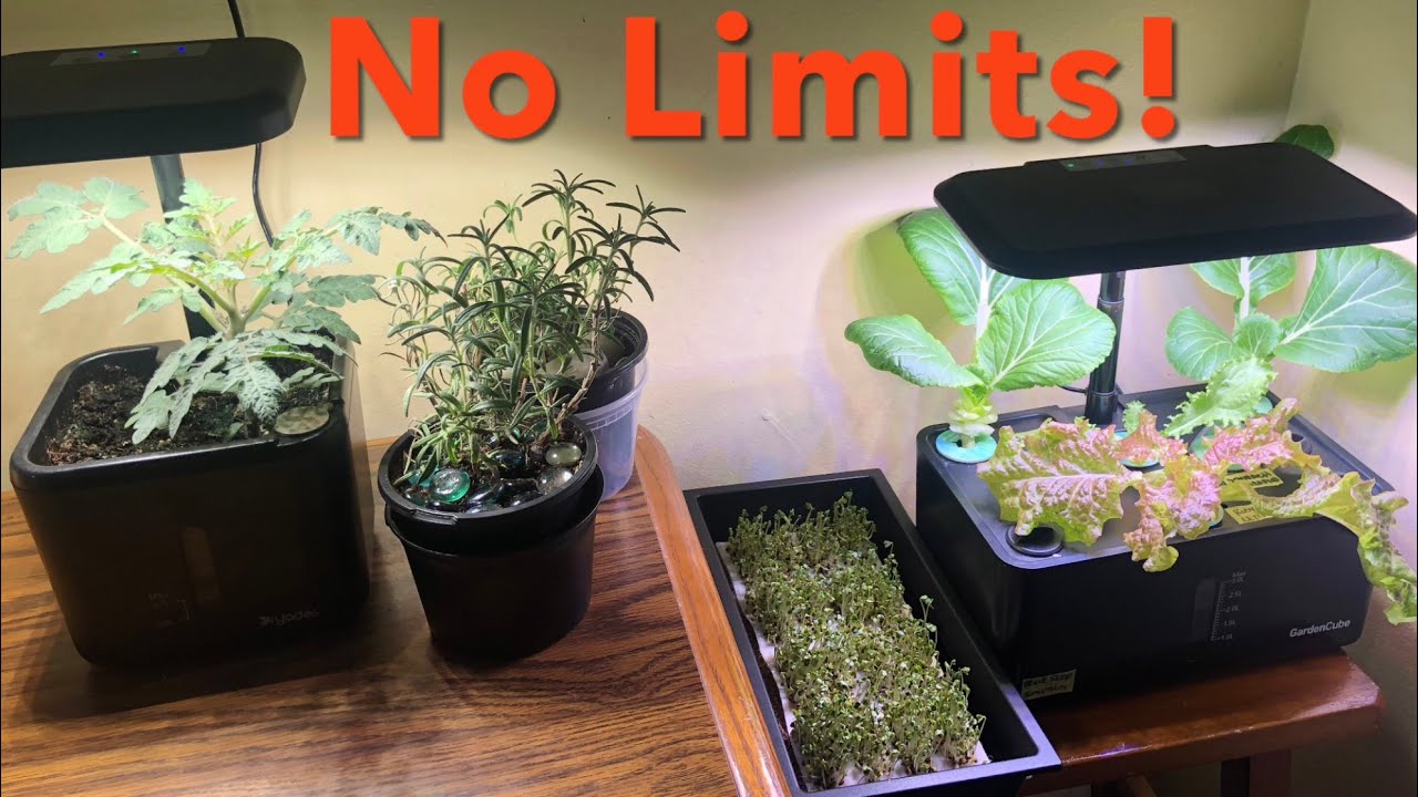 No Limits Indoor Garden Tour and Microgreens Starts