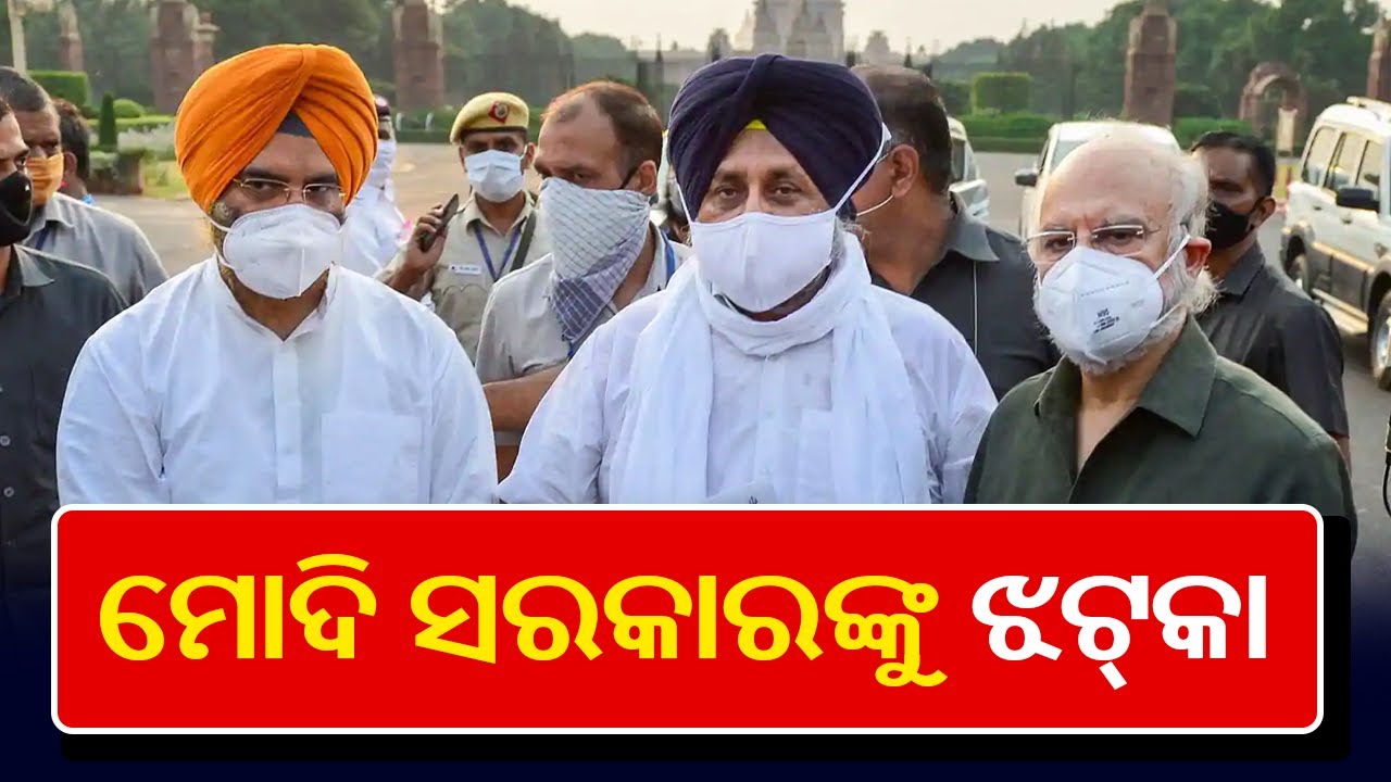 Shiromani Akali Dal (SAD) Quits NDA Over Farm Bills || Kalinga TV
