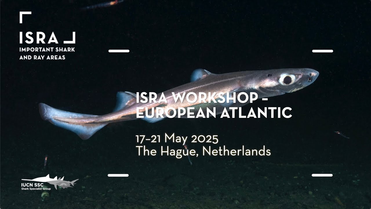 ISRA Workshop – European Atlantic Region, 17– 21 May 2025, The Hague.