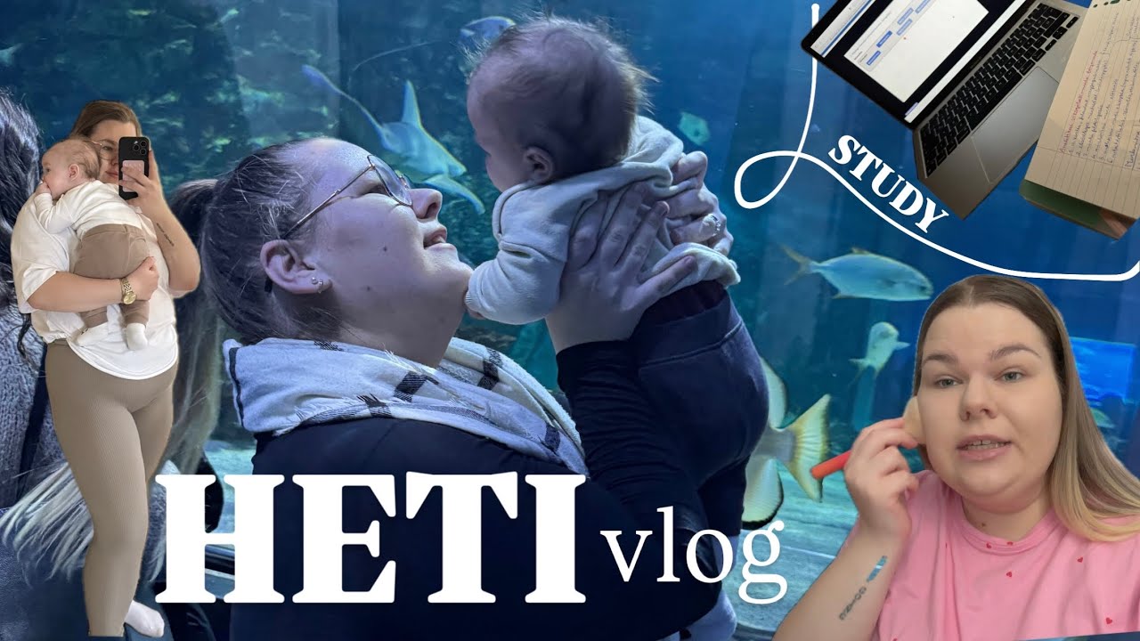 Vizsga időszak, 2026 tervek - heti vlog 