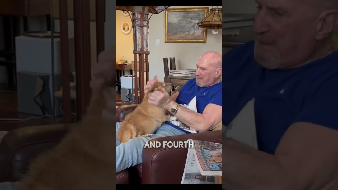 4 Things That Hurt Your Dog’s Feelings 🐾💔