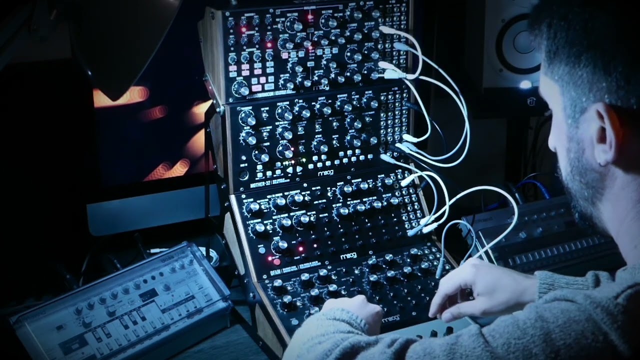 Moog melodic techno