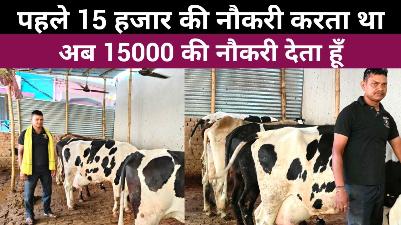 अपने छोटे से Dairy Farm जहाँ 2 गाय से शुरू किया आज गुजार रहा अच्छी ज़िन्दगी | Dairy Farm