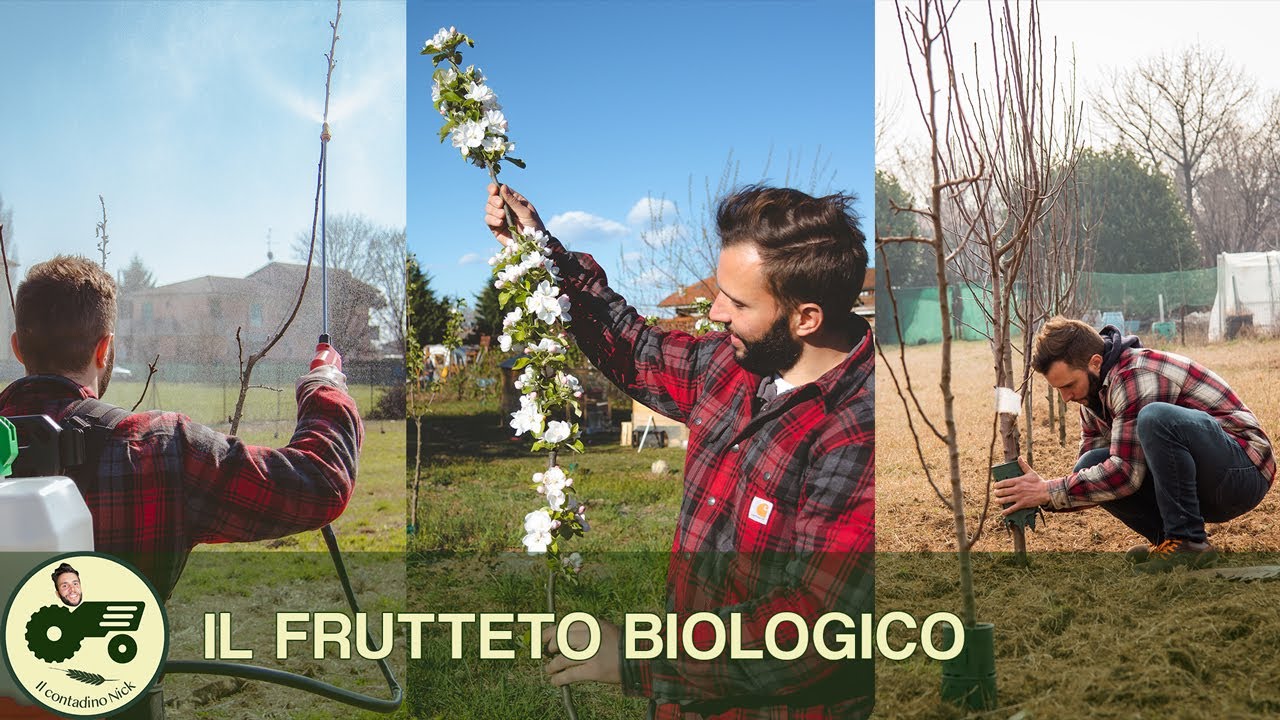 IL FRUTTETO BIOLOGICO: 1 anno di TRATTAMENTI - Il contadino Nick