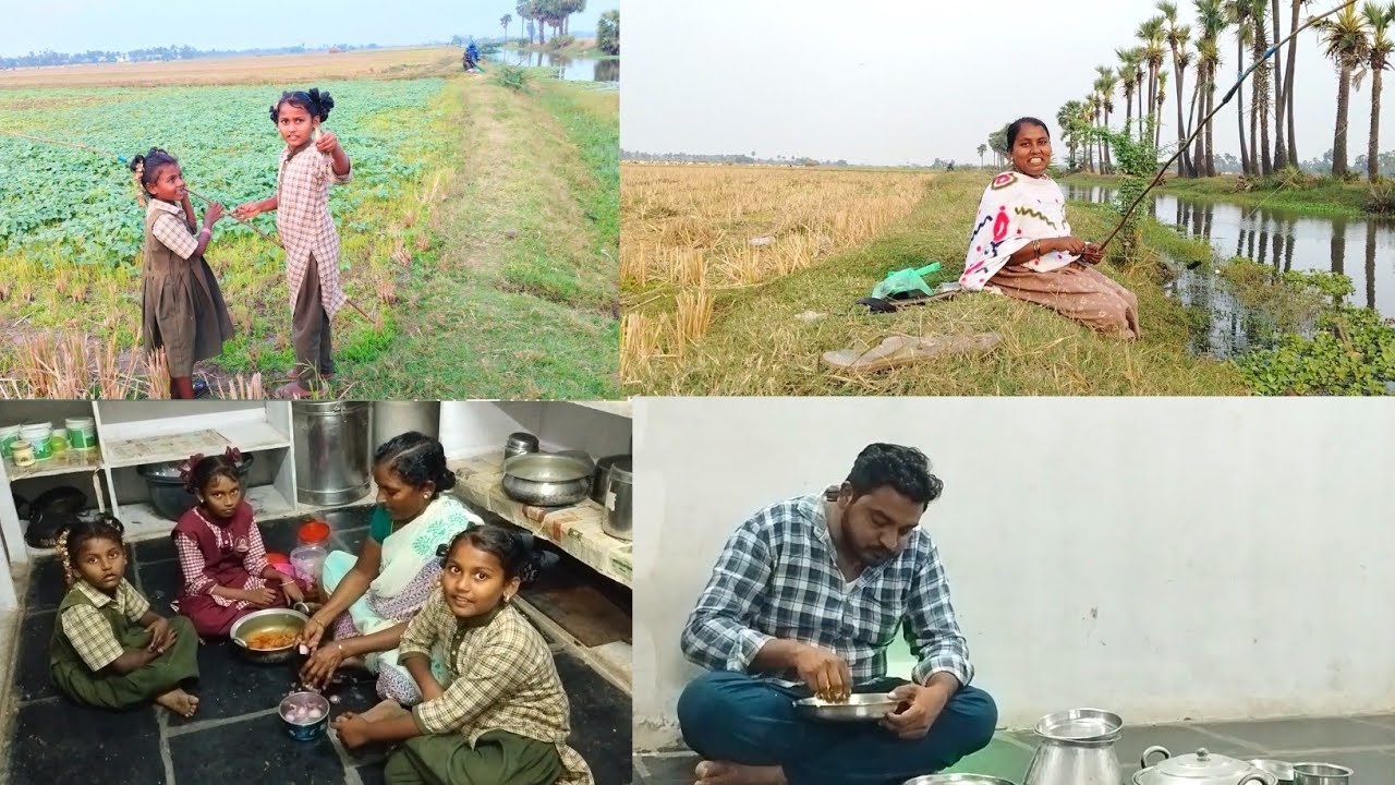 కష్టపడి చేపలు పట్టుకొస్తే చివరికి తినడానికి కూడా లేకుండా పోయింది#fishing hunter videos 